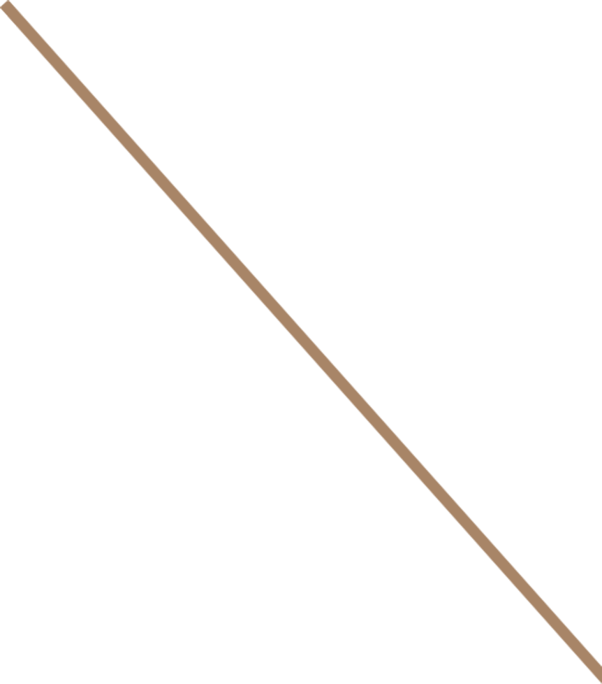 짧은 왼쪽 라인